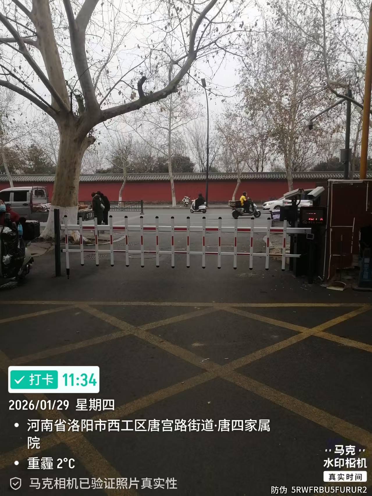 图片加载失败